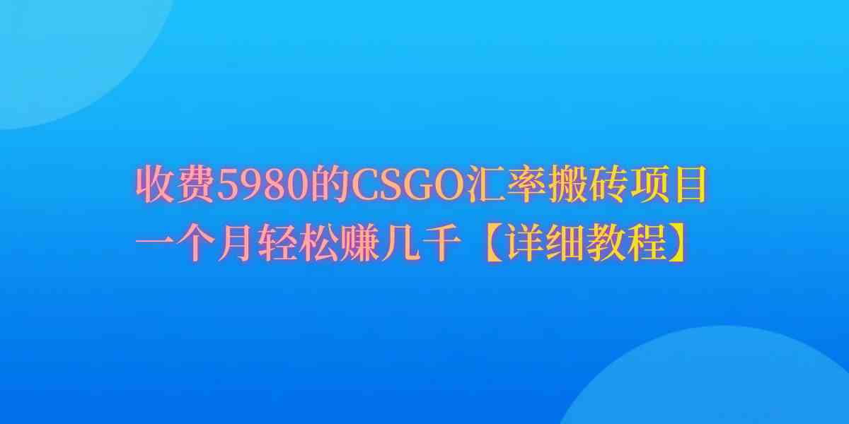 （9776期）CSGO装备搬砖，月综合收益率高达60%，你也可以！-民珍网创