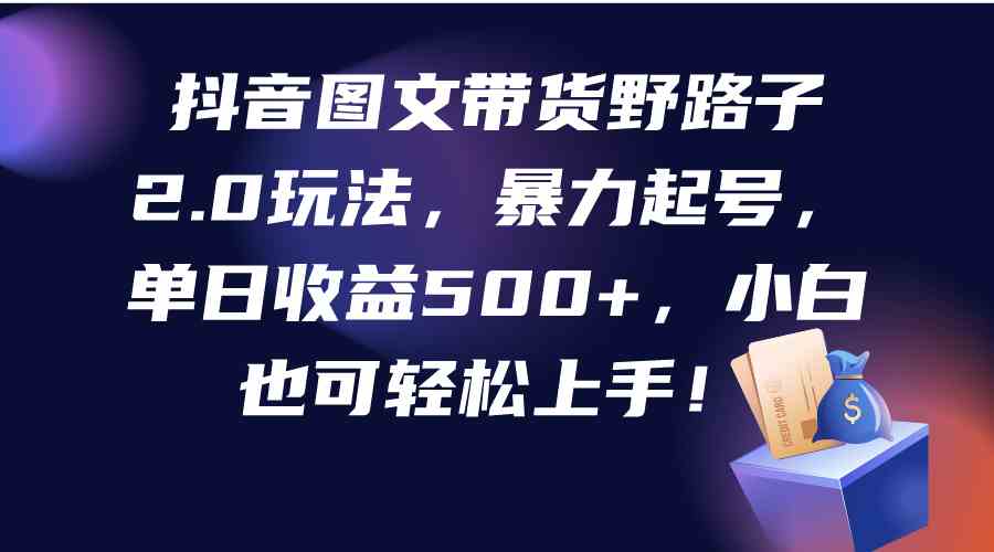 （9790期）抖音图文带货野路子2.0玩法，暴力起号，单日收益500+，小白也可轻松上手！-民珍网创