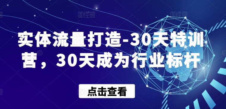 实体流量打造-30天特训营，30天成为行业标杆-民珍网创