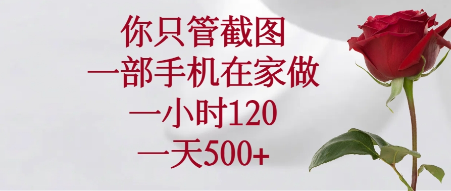 （14248期）你只管截图，一部手机在家做，一小时120，一天500+-民珍网创