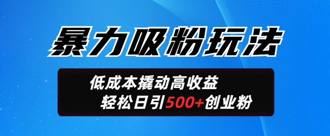 暴力吸粉玩法，日引500+精准创业粉，日变现轻松多张-民珍网创