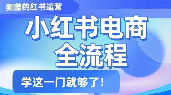 小红书电商全流程，精简易懂，从入门到精通，学这一门就够了-民珍网创