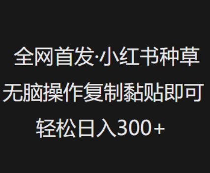 全网首发，小红书种草无脑操作，复制黏贴即可，轻松日入3张-民珍网创