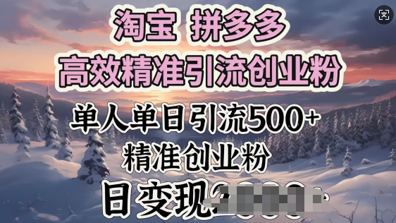 淘宝拼多多高效精准引流创业粉，单人单日引流500+创业粉，日变现多张-民珍网创