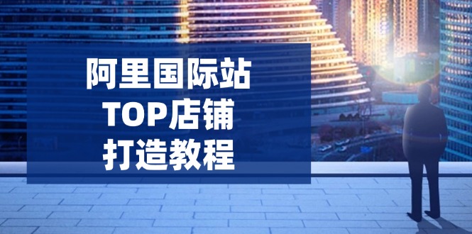 （14269期）阿里国际站TOP店铺打造教程：涵盖平台到高阶，解决运营难题，提升询盘-民珍网创