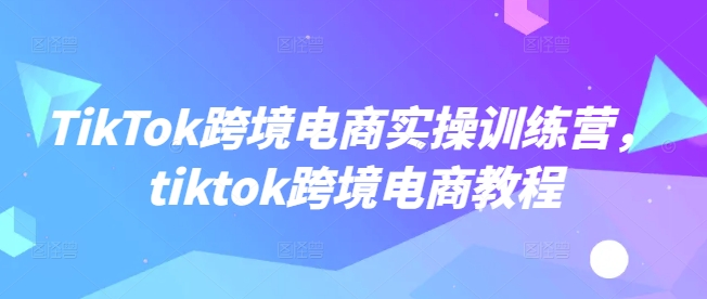 TikTok跨境电商实操训练营，tiktok跨境电商教程-民珍网创