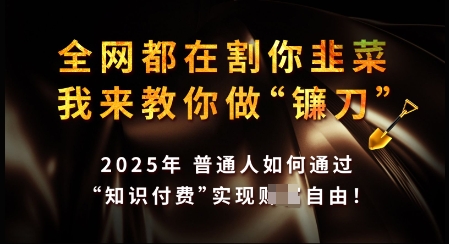 知识付费如何做到月入过W+，2025我来教你做“镰刀”【揭秘】-民珍网创