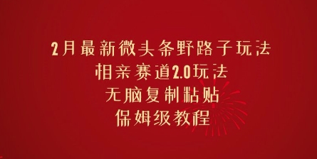 2月最新微头条野路子玩法，相亲赛道2.0玩法，无脑复制粘贴，保姆级教程-民珍网创