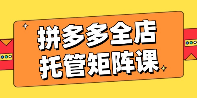 （14328期）拼多多全店托管矩阵课，盈利动销玩法，高效计划设置，提升店铺效益-民珍网创