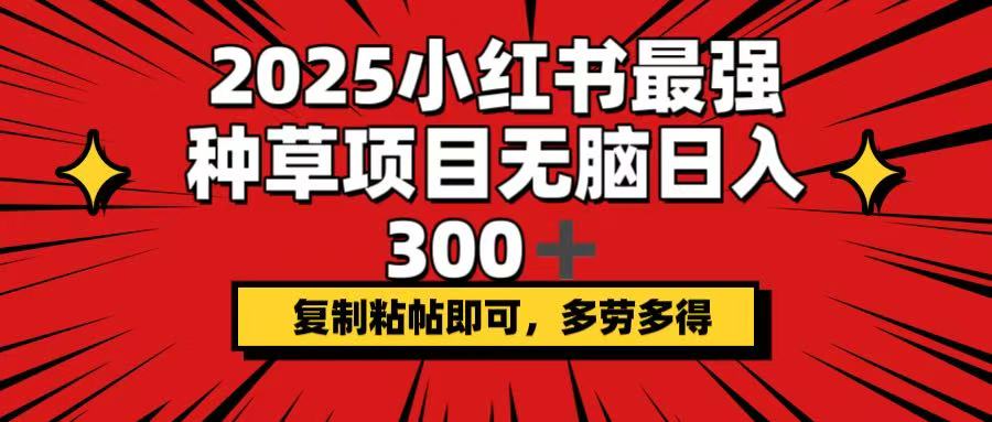 （14375期）2025小红书最强种草项目，无脑日入300+，复制粘帖即可，多劳多得-民珍网创