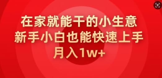 在家就能干的小生意，新手小白也能快速上手，月入1w-民珍网创