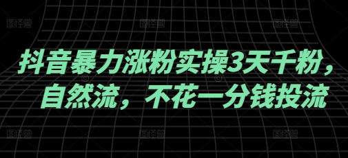 抖音暴力涨粉实操3天千粉，自然流，不花一分钱投流，实操经验分享-民珍网创