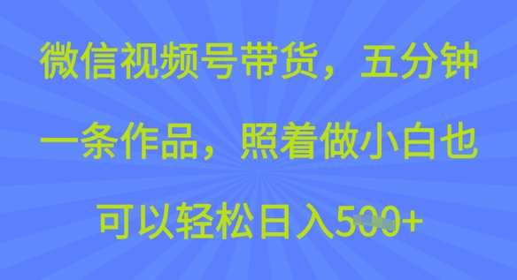 微信视频号带货，五分钟一条作品，照着做小白也可以轻松日入5张-民珍网创