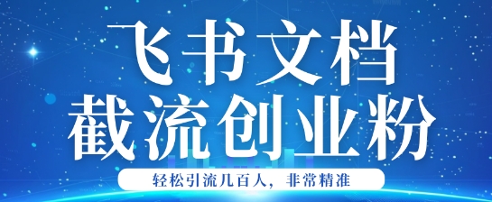 利用飞书文档截流创业粉轻松引流200+-民珍网创