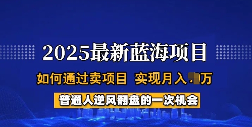 2025蓝海项目，普通人如何通过卖项目，实现月入过W，全过程【揭秘】-民珍网创