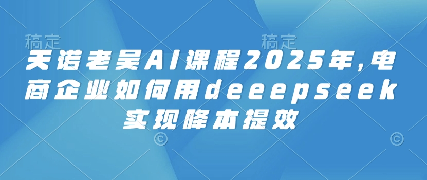 天诺老吴AI课程2025年，电商企业如何用deeepseek实现降本提效-民珍网创