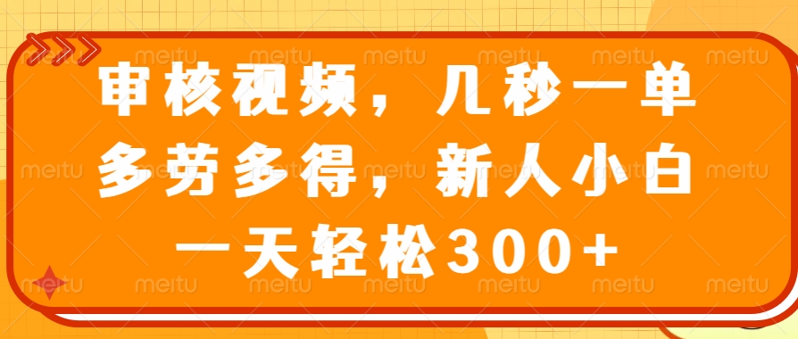 （14294期）审核视频，几秒一单，多劳多得，新人小白一天轻松300+-民珍网创