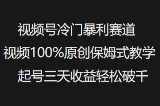 视频号冷门暴利赛道视频100%原创保姆式教学起号三天收益轻松破千-民珍网创