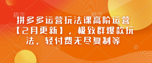 拼多多运营玩法课高阶运营【2月更新】，极致群爆款玩法，轻付费无尽复制等-民珍网创