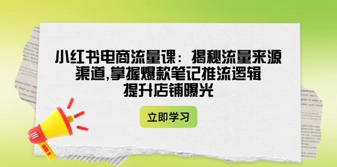 （14318期）小红书电商流量课：揭秘流量来源渠道,掌握爆款笔记推流逻辑,提升店铺曝光-民珍网创