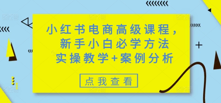 小红书电商高级课程，新手小白必学方法，实操教学+案例分析-民珍网创
