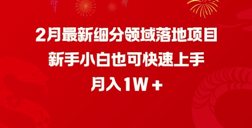 2月最新细分领域落地项目，新手小白也可快速上手，月入1W-民珍网创