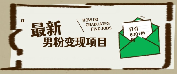 最新男粉变现项目，日引100+S粉，流量爆炸，小白轻松上手-民珍网创
