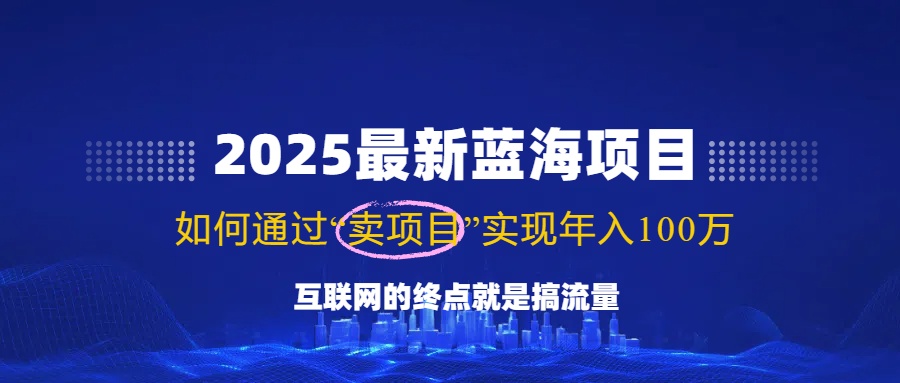 （14305期）2025最新蓝海项目，零门槛轻松复制，月入10万+，新手也能操作！-民珍网创