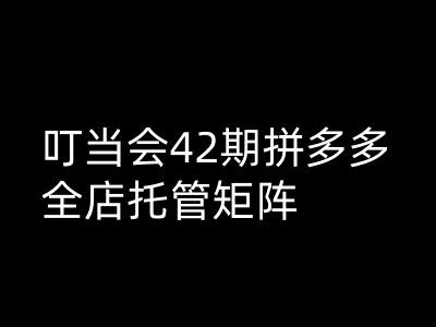 叮当会拼多多打爆班原创高阶技术第42期，拼多多全店托管矩阵-民珍网创